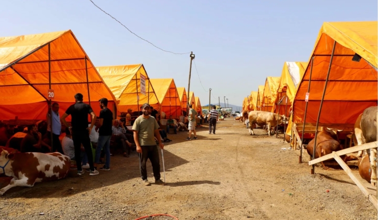 448201547_872845741550288_6518595821068100736_n