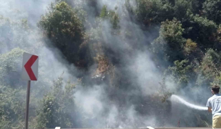 Akli dengesi olmayan vatandaş, ormanı küle çevirecekti