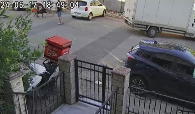 Ataşehir’de birbirine giren köpekleri motosiklet kaskı ile vurarak ayırdı