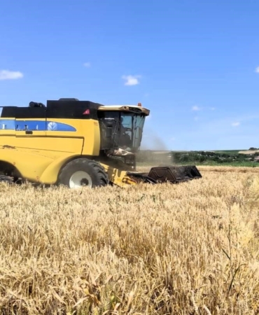 Babaeski’de arpa hasadı kontrolleri