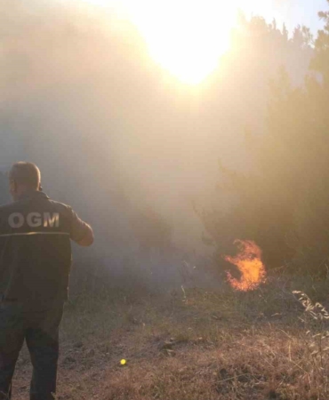 Balıkesir’de orman yangını