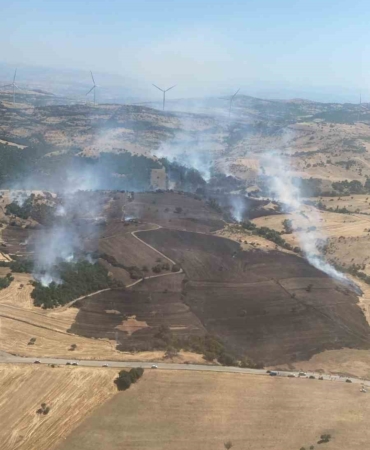 Balıkesir’deki orman yangını kontrol altında