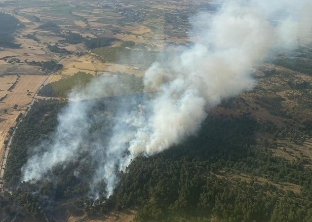 Bayramiç’te orman yangını