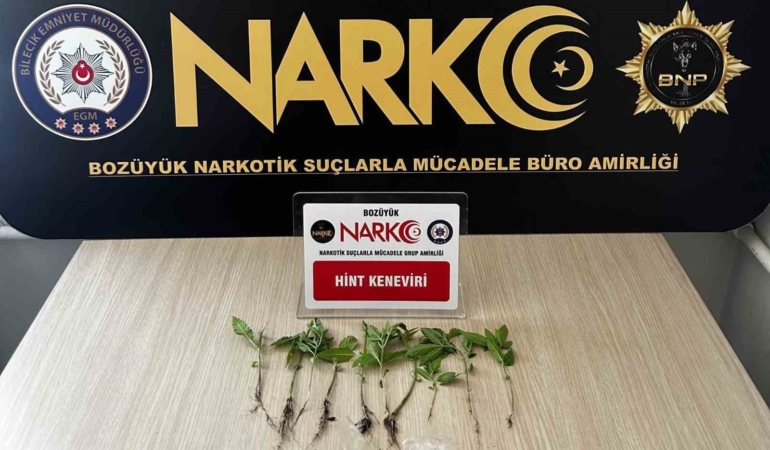 Bilecik’te evinde uyuşturucu yetiştiren şüpheliyi eşi ele verdi
