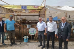 Bozüyük’te kurban satış ve kesim yerleri denetlendi