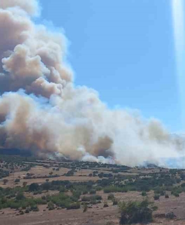 Çanakkale’de çöplükte başlayan yangın ormanlık alana sıçradı