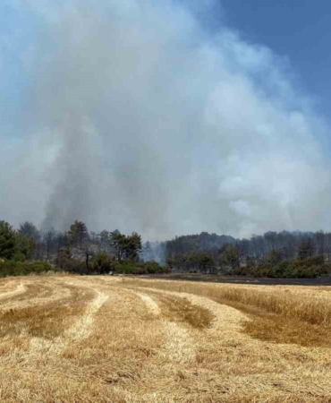Çanakkale’de orman yangınına 9 uçak ve 5 helikopterle müdahale ediliyor