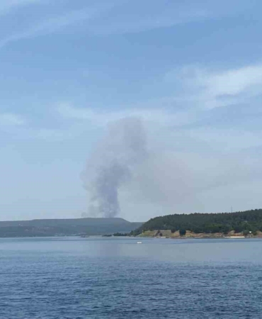 Çanakkale’de orman yangınına havadan ve karadan müdahale ediliyor