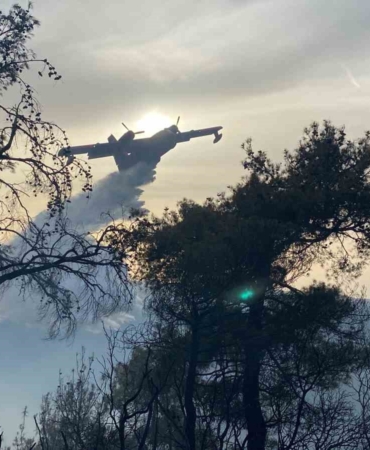 Çanakkale’deki orman yangını 8 saat sonra kontrol altına alındı