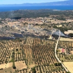 Çöplükte çıkan yangın zeytinlik alana sıçradı