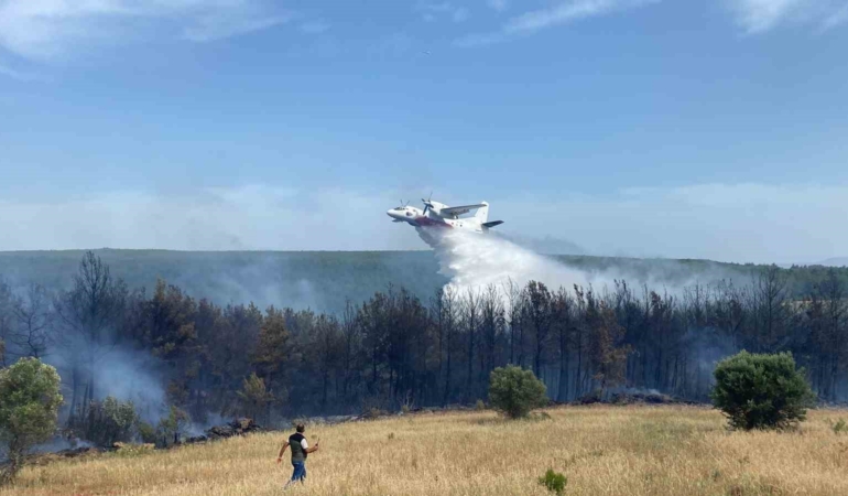 Eceabat’taki orman yangını devam ediyor