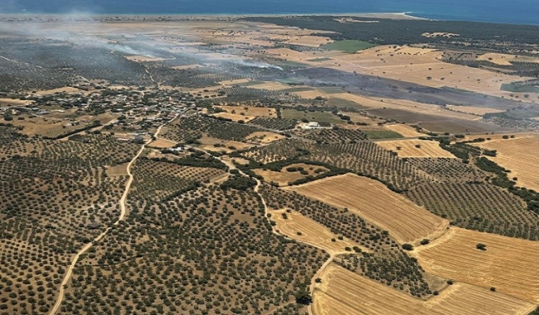 Ezine’de tarım arazisinde başlayan yangın ormanlık alana sıçramadan kontrol altına alındı