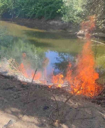 Göksu Nehri kenarında çıkan yangın kısa sürede söndürüldü