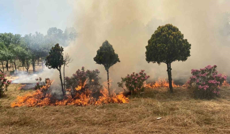 Hatıra ormanında yangın