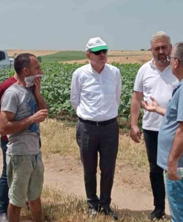 Keşan’da 350 dönüm buğday kül oldu