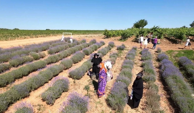 Kırklareli’nde mor turizme ilgi yoğun