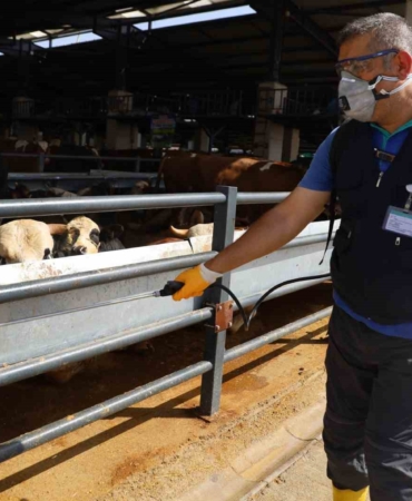 Kurban pazarlarında sinekle mücadele sürüyor
