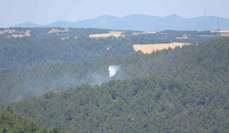 Lapseki’de orman yangını