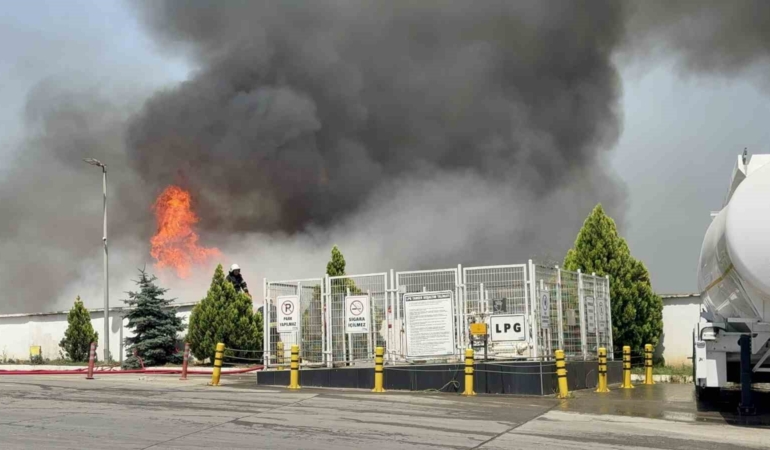 Palet fabrikasındaki yangına müdahale sürüyor