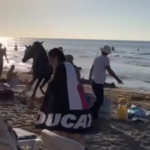 Şile plajına getirilen atlar insanların arasına daldı