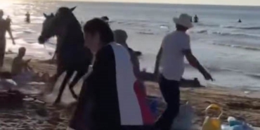 Şile plajına getirilen atlar insanların arasına daldı