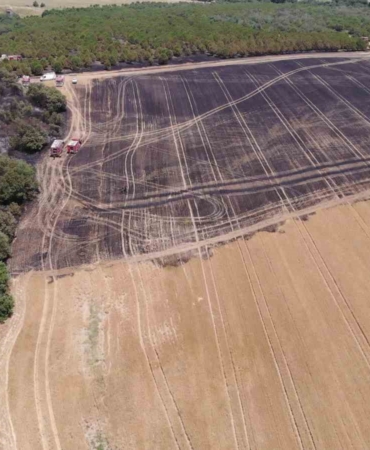 Silivri’de 80 dönümlük arazi, yangında zarar gördü