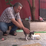 Sokak hayvanlarını beslediği için darp edildi