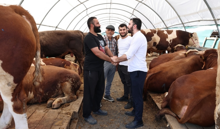 Sultangazi Kurban Satış Alanı’nda bayram yoğunluğu