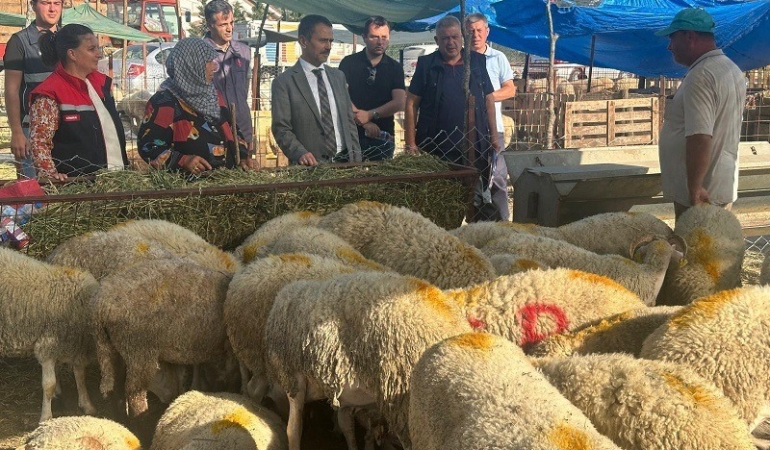 Vali İlhami Aktaş, Canlı Hayvan Pazarı ve Cuma Pazarında incelemelerde bulundu