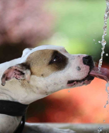 4 gün boyunca sıcak hava Bursa’yı kavuracak