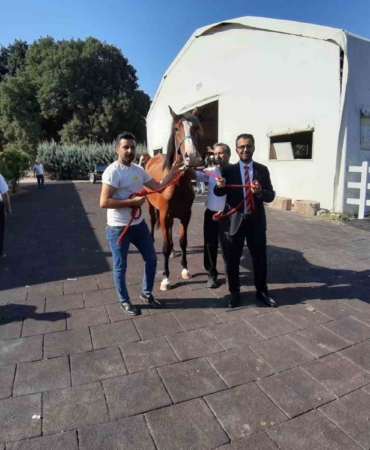 64 tayın satışından 26 milyon 640 bin TL gelir elde edildi