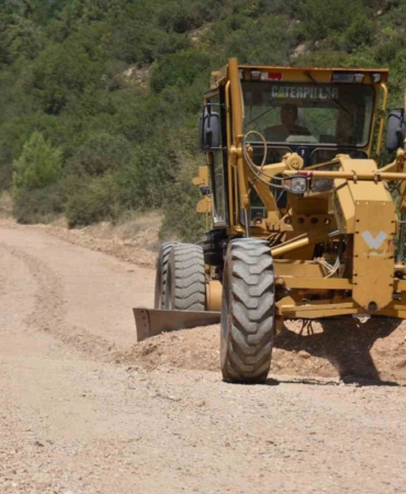 Atatürk Ormanı’nda bakım devam ediyor