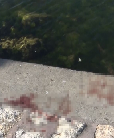 Avcılar’da feci cinayet: Önce bıçakladılar, sonra denize attılar