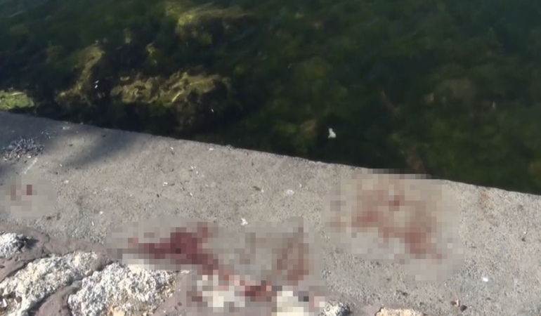 Avcılar’da feci cinayet: Önce bıçakladılar, sonra denize attılar
