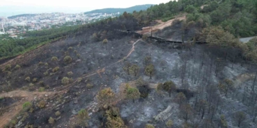 Aydos’ta yanan ormanlık alanın son hali havadan görüntülendi