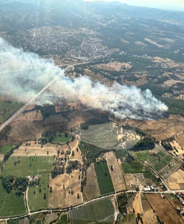 Ayvacık’taki orman yangını kontrol altına alındı