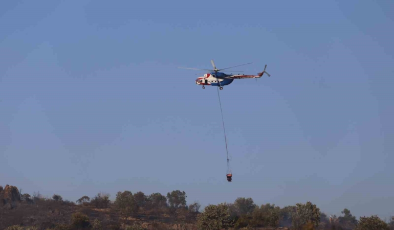 Ayvalık’ta makilik alanda çıkıp zeytinliklere sıçrayan yangın kontrol altına alındı