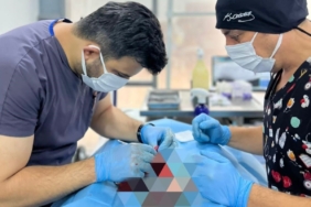 Balıkesir Büyükşehir Belediyesi can dostların yanında