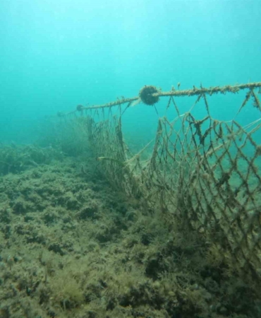 Balıkesir Büyükşehir, denizleri hayalet ağlardan arındırıyor