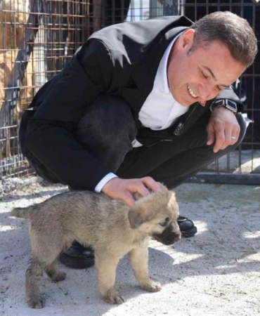 Balıkesir’de can dostlar emin ellerde