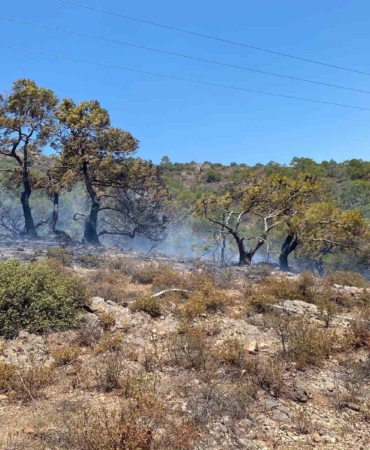 Balıkesir’in tatil beldesinde makilik alanda yangın çıktı