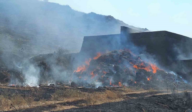 Bandırma’da yangın: Bin dönüm otluk alan yandı