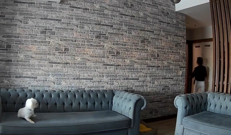 Başakşehir’de ev soyup soğana çevirdiler: Evin köpeği ise hırsızlara gülümsedi