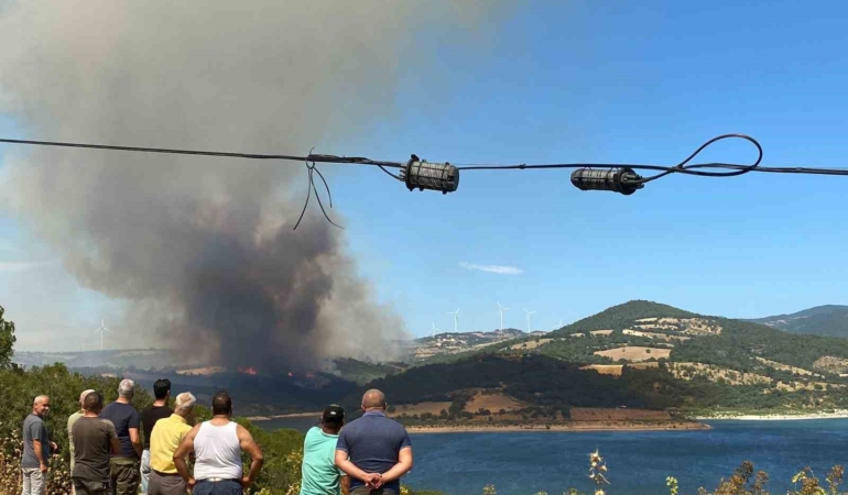 Bayramiç’te orman yangını