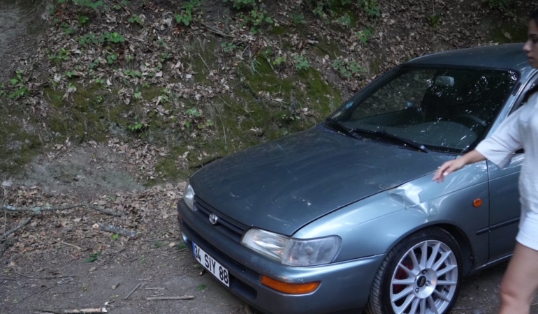 Belgrad Ormanı’nda ağaç araçların üzerine devrildi