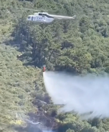 Beykoz’da çıkan orman yangını söndürüldü