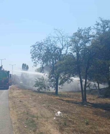 Beylikdüzü’nde otluk alandaki yangında mahsur kalan kaplumbağayı kurtarıp beslediler