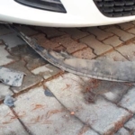 Beylikdüzü’nde sokak köpekleri park halindeki arabayı parçaladı