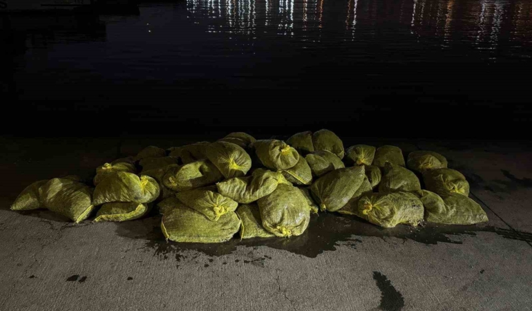 Beyoğlu’nda 1,5 ton kaçak midye ele geçirildi