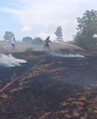 Bilecik’te anız yangını